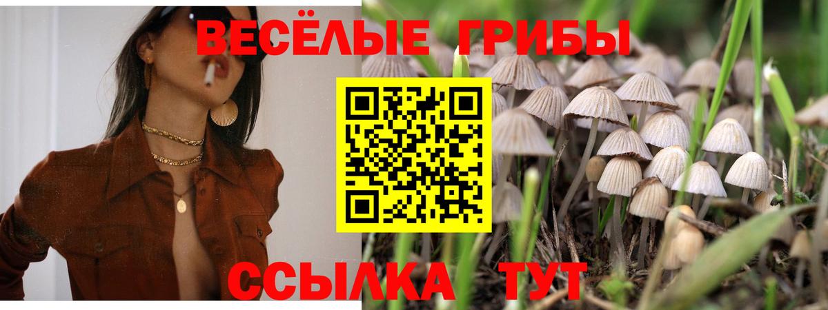 Бугуруслан  Галлюциногенные грибы прущие грибы  Вход с VPN 